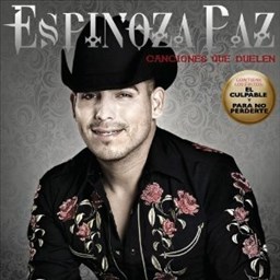 Canciones Que Duelen