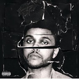 Beauty Behind The Madness